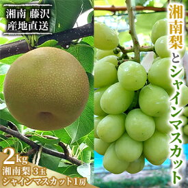 【ふるさと納税】湘南梨 シャインマスカット 2kg 神奈川県藤沢市産 　【 果物 ぶどう フルーツ デザート 食後 豊水 あきづき 種無し 皮ごと 種無しぶどう産地直送 国産 日本産 】　お届け：2024年9月1日～9月14日まで