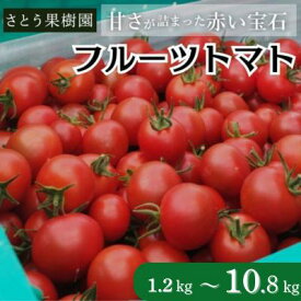 【ふるさと納税】 フルーツトマト 高糖度 完熟 1.2kg〜10.8kg フルティカ ミニトマト トマト 高品質 甘い 極上 旨味 とまと プチ tomato 野菜 やさい yasai サラダ ビタミンC リコピン 美肌 美容 健康 食物繊維 農園 ハウス栽培 ハウストマト 産地直送 国産 神奈川 湘南 藤沢