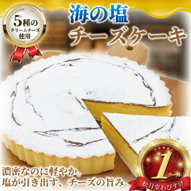 【ふるさと納税】 チーズケーキ 海の塩 1ホール 湘南藤沢名物 出来立て 急速冷凍 ベイクドチーズケーキ デザート クリームチーズ 菓子 お菓子 焼き菓子 スイーツ おやつ ちーずけーき 海 塩 人気 贈答 10000円 1万円 冷凍ケーキ 冷凍スイーツ 菓子 松月堂 神奈川 湘南 藤沢