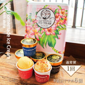 【ふるさと納税】 あいす アイスクリーム 130ml × 6個 季節 おすすめ セット アイスセット 手作り アイス 卵 不使用 aisu ドルチェ フレーバー 食べ比べ スイーツ デザート 冷凍 ジェラート スイーツ詰合せ おやつ お菓子 Hilo Homemade Ice Cream 神奈川 湘南 藤沢