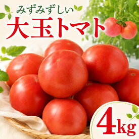 【ふるさと納税】 トマト 4kg 大玉トマト とまと tomato 春発送 数量限定 野菜 やさい 果物 甘い リコピン フルーツ サラダ スープ 酸味 農家直送 産地直送 新鮮 トマト フレッシュ 春野菜 夏野菜 湘南Farmかずみ園 神奈川 湘南 藤沢