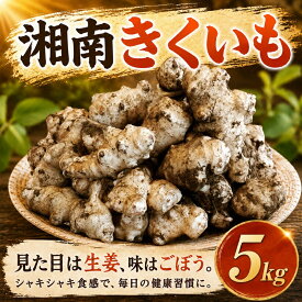 【ふるさと納税】生 菊芋 5kg きくいも 国産 湘南きくいも イヌリン 11月上旬以降発送開始 キクイモ 土付き ヘルシー 掘りたて 新鮮 シャキシャキ サラダ 素揚げ 天ぷら 味噌汁 煮物 スープ ポタージュ 食物繊維 先行予約 産地直送 農家直送 八〇八 神奈川 湘南 藤沢