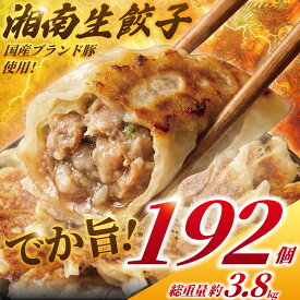 【ふるさと納税】 高評価 ★4.6 餃子 最大 192個 3.8kg 国産豚肉【 選べる容量 】 ぎょうざ 豚肉 豚 肉 ( ふるさと納税 お肉 肉餃子 野菜餃子 ふるさと納税 焼き餃子 ギョーザ 冷凍餃子 ふるさと納税 ふるさと納税 人気 ランキング 大容量 おすすめ ) 神奈川 藤沢