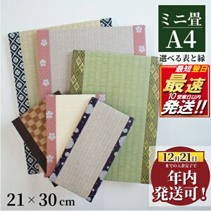 �y�ӂ邳�Ɣ[�Łz �N������ ! (12/21 ���ϊ������܂�) �~�j�� A4 1�� �I�[�_�[ �T�C�Y �J���[ �� ������ �^�^�~ ��� �������� �~�j ����� ��� �v�`�� �I���W�i�� �t�B�M���A ���� �G�� �a�� �~