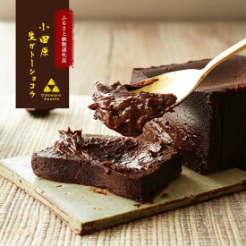 【ふるさと納税】極上の口溶け。幸せの生ガトーショコラ 500g【 高級 濃厚 極上スイーツ グルテンフリー チョコ ショコラテリーヌ 高品質クーベルチュールチョコレート使用 一流シェフ 神奈川県 小田原市 】