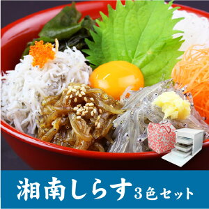 【ふるさと納税】湘南しらす 3色セット | 魚 お魚 さかな 食品 人気 おすすめ 送料無料