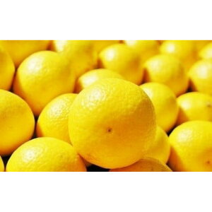 yӂ邳Ɣ[Łzq󏭏ir_ސ쐶܂̊k nEX͔|̏ÓS[ho׊JnF2026N215o׊Jn`2026N310o׏Iyt[c IW ʕ k p ƒp 