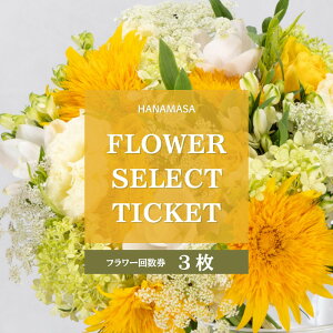 �y�ӂ邳�Ɣ[�ŁzHANAMASA�t�����[�Z���N�g�`�P�b�g(3��) | ���c���s �Ԑ� �t�����[�M�t�g �`�P�b�g ���蕨 �v���[���g ���j�� �t�����[�A�����W�����g ������ �ʔ� �ӂ邳�Ɣ[�� �l�C ��