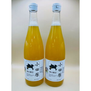 �y�ӂ邳�Ɣ[�Łz���c�� �~�̋P��720ML�r�i�~�h�����N�j2�{�Z�b�g�y ���ݕ� �h�����N �_�ސ쌧 ���c���s �z