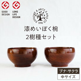 【ふるさと納税】漆めいぼく椀 中 2樹種セット(ブナ・サクラ)【めいぼく椀11.5φ×6.8cm 手作り ふき漆塗り 国産天然木 おしゃれ プレゼント 記念 お祝い お椀 漆 2客セット ペア 夫婦 神奈川県 小田原市 】