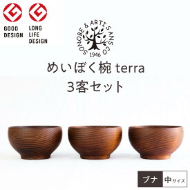 【ふるさと納税】めいぼく椀テッラ中 ブナ　3客セット【お椀 めいぼく椀テッラ φ11.5×6.8cm 手作り ウレタン塗装 国産天然木 おしゃれ プレゼント 記念 お祝い 夫婦 神奈川県 小田原市 】