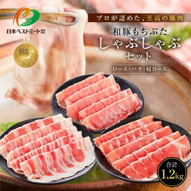 【ふるさと納税】【ふるさと納税限定】和豚もちぶたしゃぶしゃぶセット 合計1.2kg（ロース バラ 肩ロース）ふるさと納税 【小分け 豚肉 ポーク 豚しゃぶ しゃぶしゃぶ肉 冷凍 和豚もちぶた こだわりの豚肉 おいしい豚 贈り物 贈答品 ご褒美 神奈川県 小田原市 】