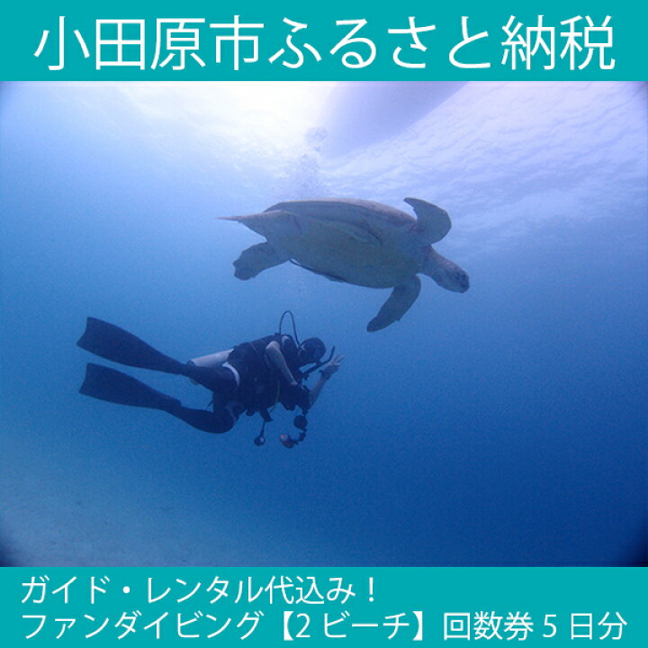 楽天市場】【ふるさと納税】ガイド・レンタル代込み！ファンダイビング 