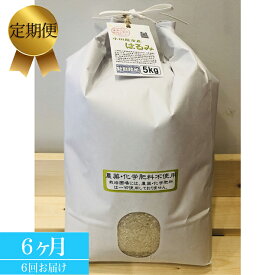 【ふるさと納税】【定期便 6ヶ月】 志村屋米穀店 令和5年産新米小田原市産 農薬・化学肥料不使用はるみ 新米 5kg ＜出荷時期：10月中旬より順次出荷開始＞【おこめ 米 コメ こめ はるみ 特A 贈答用 ご家庭で 贈り物 クラフト袋入り 神奈川県 小田原市 】