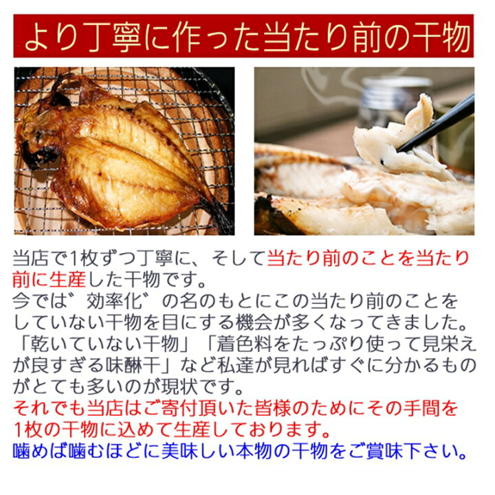 【ふるさと納税】おまかせ干物セット 【 惣菜 おかず 魚 ひもの 神奈川県 小田原市】 神奈川県小田原市 A24-003魚音おまかせ干物セット