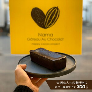 チョコレート ガトーショコラ チョコ 生の人気商品 通販 価格比較 価格 Com