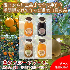 【ふるさと納税】手づくりジャムソース 4本セット 手作りみかん キウイ あまなつ ブルーベリー 125ml 詰め合わせ ギフト 【 家庭用 自宅用 贈答品 贈答用 ギフト お取り寄せ お中元 お歳暮 贈り物 お祝い 神奈川県 小田原市 】