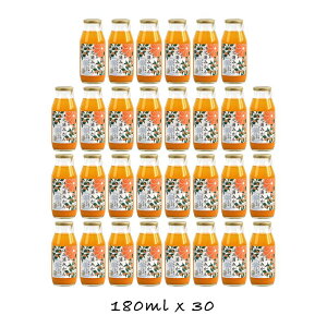 yӂ邳Ɣ[Łzy 6z cY]VY݂100Xg[gW[X180ml30{ | ݂W[X _ސ쌧 cs