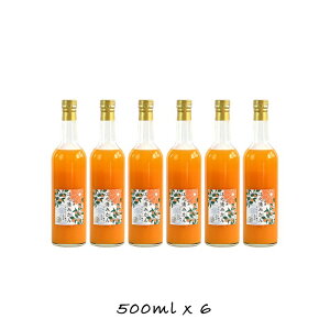 yӂ邳Ɣ[ŁzcY]VY݂100Xg[gW[X500ml6{ | ݂W[X _ސ쌧 cs