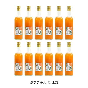 yӂ邳Ɣ[ŁzcY]VY݂100Xg[gW[X500ml12{ | ݂W[X _ސ쌧 cs