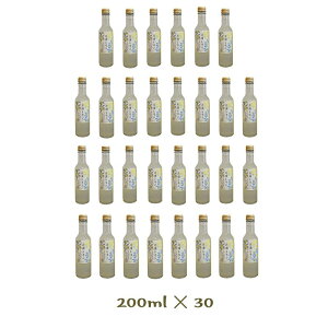 yӂ邳Ɣ[ŁzcYЉYXp[NOʏ` ʏ`10200ml30{ | _ސ쌧 cs