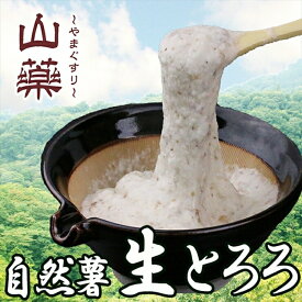 【ふるさと納税】自然薯の味をお楽しみください。自然薯生とろろ100g×10pセット【とろろ 極上とろろ 山芋 お家用 家庭用 国産 セット商品 自然薯 神奈川県 小田原市 】