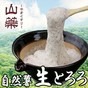 yӂ邳Ɣ[ŁzR̖y݂BRƂ100g×30pZbgyƂ ɏƂ R Ɨp ƒp Y Zbgi R _ސ쌧 cs z