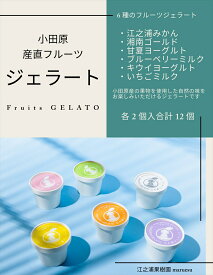 【ふるさと納税】【定期便 12回】 小田原産江之浦ジェラート6種（みかん、湘南ゴールド、ブルーベリーミルク、いちごミルク、キウイヨーグルト、甘夏ヨーグルト）120mlカップ各2個合計12個