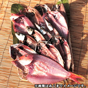 焼きたてひもの