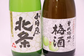 【ふるさと納税】小田原のめぐみ。北条純米酒と曽我梅酒2本セット【小田原のめぐみ 北条純米酒 曽我梅酒 2本セット 米の旨みを生かしたソフトな味わい 四段仕込みの日本酒でじっくり仕込んだこだわりの梅酒 神奈川県 小田原市 】