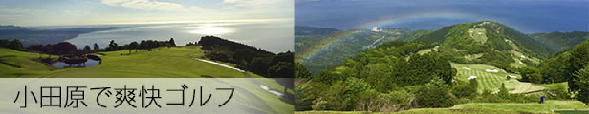 スマホバナー大02