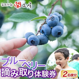 【ふるさと納税】ブルーベリー農園 摘み取り券 収穫 太陽 養液栽培 美味 育つ ジャム バター 地場産 新鮮 卵 スプレッド 濃厚 風味 温故知新 開工房 農園 果実 摘み取り 完熟 農園 あっさり 食パン 採れたて朝食 送料無料 神奈川県 茅ヶ崎市