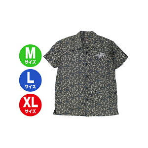 yӂ邳Ɣ[ŁzGONZO SURF@IG^{^Vc@ubN  j Y t@bV