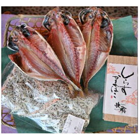 【ふるさと納税】茅ヶ崎しらす・かまぼこセット　【しらす・かまぼこ・練り製品・魚貝類・干物・アジ】