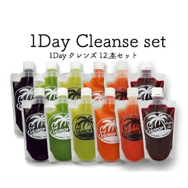 【ふるさと納税】冷凍コールドプレスジュース 1DAYクレンズ 12本セット　【 飲料類 野菜飲料 ジュース 】