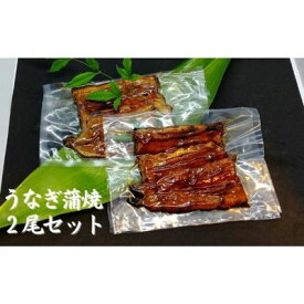 【ふるさと納税】【三河産 鰻】うなぎ蒲焼セット2尾（活魚1本200g×2）　【 うなぎ 鰻 国産活うなぎ 脂 安心安全 特別な日 ふっくらとした身 】