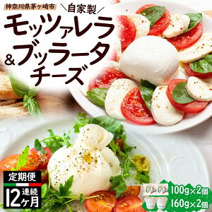 yӂ邳Ɣ[Łzy12ցzƐ `[Y lߍ킹 bc@`[Y 100g ub[^`[Y180g e2 o _ސ쌧Y ̃`[Y bc@ ub[^  Osteria e Bot