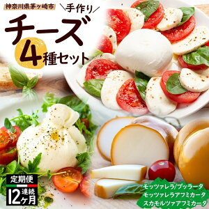 yӂ邳Ɣ[Łz12 `[Y 4 lߍ킹 e1 Osteria e Bottega S bc@ ub^[`[Y XJc@At~J[^ _ސ쌧 Ps HHi i   ~