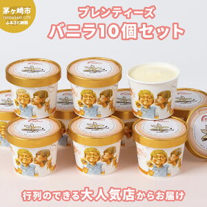 【ふるさと納税】プレンティーズ バニラアイスクリーム 10個セット バニラ アイス バニラアイス アイスクリーム バニラ味 アイス 氷菓 マダガスカル マダガスカル産バニラ バニラビーンズ