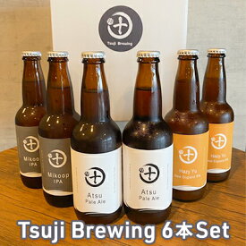 【ふるさと納税】Tsuji Brewingオリジナルクラフトビール6本セット　【 お酒 地ビール 瓶ビール 飲み比べ ビール飲み比べ アルコール飲料 家飲み 晩酌 バーベキュー BBQ 】