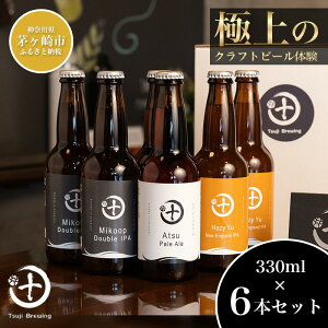 yӂ邳Ɣ[ŁzTsuji BrewingIWiNtgr[6{Zbg  nr[ rr[ ݔ r[ݔ AR[ ƈ ӎ o[xL[ BBQ
