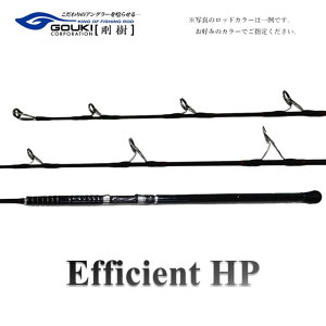 yӂ邳Ɣ[Łz GtBVFg EFFICIENT HP 600 101 WMObh