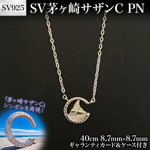 yӂ邳Ɣ[ŁzSV  TU C PN 40cm NC WER[eBOH MeBJ[h P[Xt TU TUr[` _ސ쌧 s