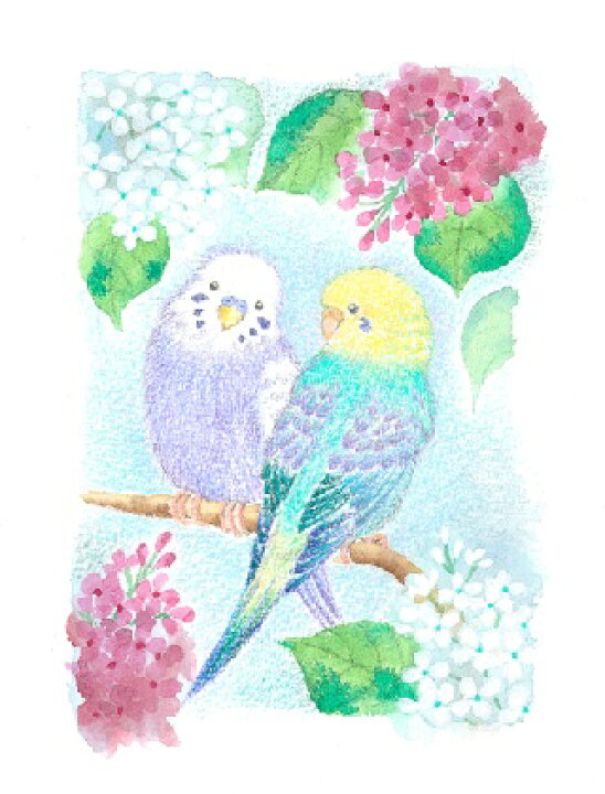 送料無料 新品 フレーム入り版画 インコとお花 絵本作家おまたたかこジークレー版画 Www Flexcosa Com 送料無料 新品 フレーム入り版画 インコとお花 絵本作家おまたたかこジークレー版画 Www Flexcosa Com