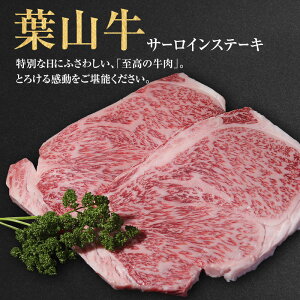 yӂ邳Ɣ[ŁztR T[CXe[L 250g 2 ymX Xe[L T[C ~  p  Mtg ĂȂ јa _ސ쌧 y qs z@͂F