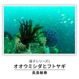 【ふるさと納税】写真家長島敏春　オリジナルプリント「逗子シリーズ1　オオウミシダとフトヤギ」フレーム付き　写真・オリジナルプリント・逗子シリーズ1・オオウミシダとフトヤギ・フレーム付き・長島敏春・石井仁志・逗子・サイン
