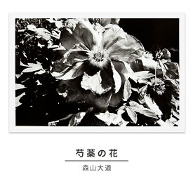 【ふるさと納税】zushi art gallery森山大道写真作品「芍薬の花」（写真集『光と影』1982年より）　【インテリア・森山大道・写真作品・作品・写真】