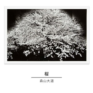 yӂ邳Ɣ[Łzzushi art galleryXR哹ʐ^iuviʐ^WwƉex1982Nj@CeAEXR哹Eʐ^iEiEʐ^