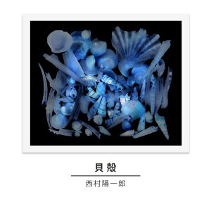 yӂ邳Ɣ[Łzzushi art galleryzYʐ^iuLkviXLOj@CeAEzYEʐ^iEiEʐ^
