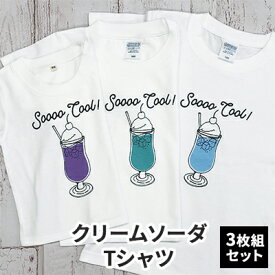 【ふるさと納税】3人兄弟姉妹でおそろい /クリームソーダ パープル（小）グリーン（中）ブルー（大）/ Tシャツ3枚組ギフトセット